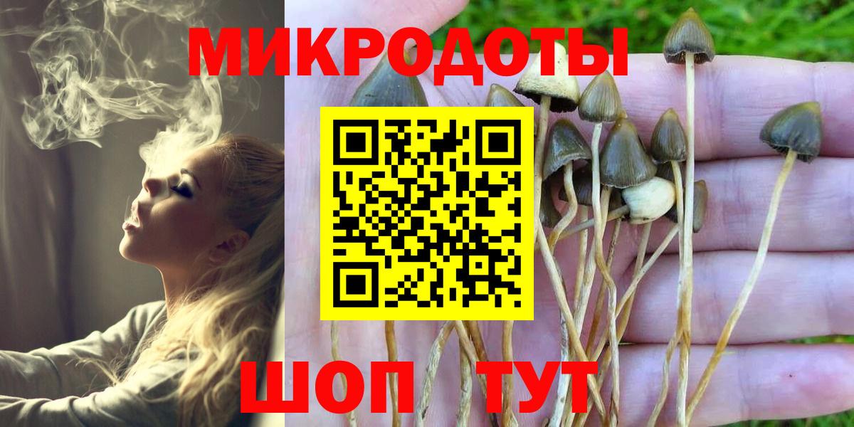 Псилоцибиновые грибы Magic Shrooms Медногорск